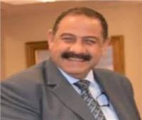 تفاصيل حريق مروع بمنيا القمح 