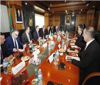 سوريا والجزائر يبحثان تعزيز التعاون في مجالات الطاقة والمناجم والكهرباء
