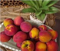 أسعار الفاكهة بسوق العبور اليوم الإثنين 1 مايو 2023