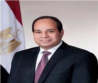 السيسي: بناء الوطن والمستقبل لا يمكن أن يحدث دون سواعد عمال مصر الأوفياء