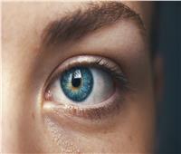 9 أمراض خطيرة يمكن أن تكشفها اختبارات العين