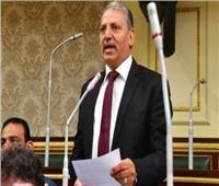 دفاع البرلمان: منح الجنسية المصرية لن يكون على حساب الأمن القومي