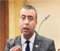 برلماني: الجلسة الافتتاحية لـ«الحوار الوطني» كاشفة لتنوع الرؤى