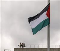 المنظمة العربية لحقوق الإنسان شريك شرف لإطلاق نداء من أجل فلسطين