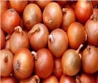 أسعار الخضروات في سوق العبور الأربعاء 10 مايو.. والبصل يبدأ من 4 جنيهات 