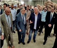 شون البنك الزراعي المصري تستقبل 277 ألف طن قمح 