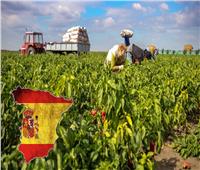 إسبانيا توافق على حزمة بملياري يورو للتخفيف من آثار جفاف «القطاع الزراعي»
