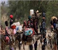المنظمة الدولية للهجرة: بنجلاديش تجلي أكثر من 570 من مواطنينها من السودان