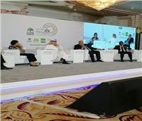 «محيي الدين»: قرارات مؤتمر المناخ بشرم الشيخ حظيت بدعم أعضاء مجموعة العشرين