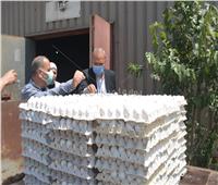 محافظ القليوبية يتفقد مشروع الـ 30 مليون بيضه بمدينة الخانكة