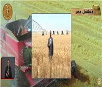الرئيس السيسي يشاهد بثا مباشرا لموسم حصاد القمح عبر الفيديو كونفرانس