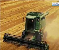 «إكسترا نيوز» تعرض تقريرا حول جهود الدولة في زراعة ودعم القمح