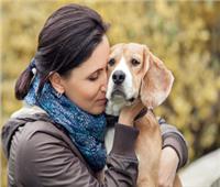 دراسة| «الكلاب تعاني من الاضطرابات الإدراكية التي يعاني منها الإنسان» 