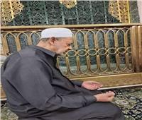 من أمام قبر النبي.. ظهور جديد لشيخ الأزهر بالمسجد النبوي| صور
