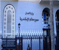 جنايات الإسكندرية تقضى بالسجن المؤبد على شقيقين لاتجارهم في الهيروين  