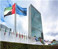 دعم عضوية فلسطين بالأمم المتحدة.. أجندة مطروحة على طاولة القمة العربية بجدة