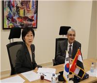 «شاكر» يبحث مع وزيرة البيئة الكورية تعزيز التعاون وزيادة فرص الاستثمار 