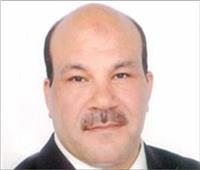 ترحيب وإشادة بقرارات «الأعلى للاستثمار» برئاسة السيسي