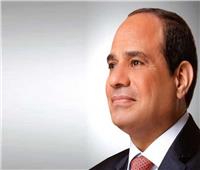 الرئيس السيسي: مصر تحرص على استمرار دعم مسيرة العمل العربي المشترك