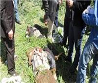 مقتل 3 في تجدد الثأر بين عائلتين بسوهاج بعد 22 عامًا