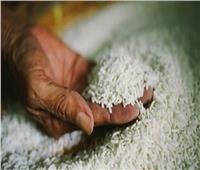 ثالث أكبر منتج عالمي للأرز يسعى لخفض صادراته السنوية 44%