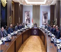 رئيس الوزراء يلتقي عددا من المصريين بالخارج بهدف تأسيس شركة للاستثمار