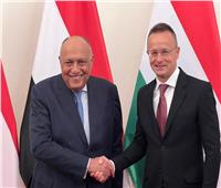 وزير الخارجية يجري مباحثات مع نظيره المجري ببودابست 