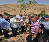 محافظ أسيوط يشارك في حملة تشجير وزراعة بعض الأشجار المثمرة 