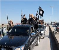 حملة مداهمات في ألمانيا للاشتباه في تنظيم إرهابي لتمويل داعش