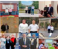 تعاون بين جامعة المنوفية وأكاديمية الصين للعلوم في 12 مجال بحثي وعلمي