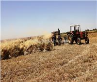 محافظ أسوان: تخطي نسبة المستهدف من كميات القمح الموردة بنسبة 136 %