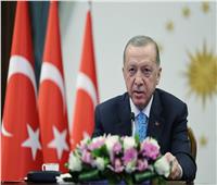 أردوغان يجري محادثات مغلقة مع ستولتنبرج في اسطنبول
