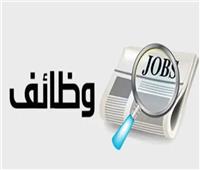 وزارة العمل تعلن توافر 26 وظيفة لذوي الهمم بالقاهرة