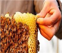 أزمة في بغداد بسبب قلة العسل 