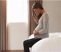 للحامل.. احذري «اللبان الدكر» خطر على الجنين في هذه الحالة