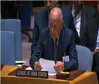 أبو الغيط : شراكة الجامعة العربية و مجلس الأمن تدعم السلم في الشرق الأوسط والعالم 