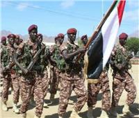 الجيش السودانى: المتمردون تحولوا إلى لصوص ينهبون الممتلكات العامة والخاصة