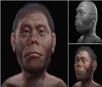 اكتشاف بقايا هوبيت حقيقي يعود تاريخه لـ 60 ألف عام بإندونيسيا