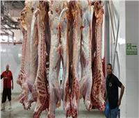 التموين: تنويع مناشئ استيراد اللحوم لتأمين احتياجات السوق المحلية