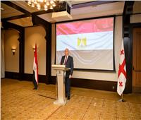 تيجيشفيلي : العلاقات بين مصر وجورجيا راسخة ونثمن مساندة القاهرة لاستقلالنا 