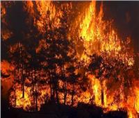 مصرع 14 شخصًا في حرائق غابات في كازاخستان