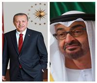 الرئيسان الإماراتي والتركي يبحثان في إسطنبول سبل تعزيز العلاقات الاستراتيجية
