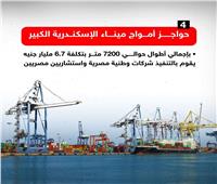 شركات وطنية مصرية تُنفذ حواجز أمواج ميناء الإسكندرية الكبير| انفوجراف