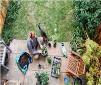 العمل في حديقة المنزل يمكن أن يخفض خطر الإصابة بالسكري