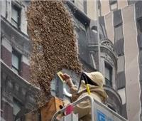 سرب من النحل يغزو ساحة تايمز سكوير بنيويورك.. والشرطة تتدخل | صور وفيديو