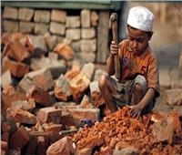 الأمم المتحدة تحتفل باليوم العالمي لمكافحة عمل الأطفال بالمطالبة بالقضاء على تلك الظاهرة