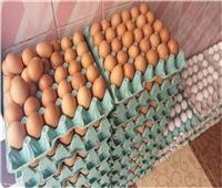 أسعار البيض اليوم الخميس 15 يونيو 