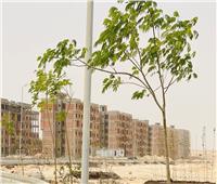 «الجزار» يتابع موقف وحدات الإسكان المتوسط بمدينة ناصر الجديدة بأسيوط| صور