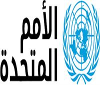 الأمم المتحدة تدعو إلى ضمان وصول المساعدات إلى دارفور