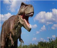 الديناصورات آكلة العشب تجوب سهول أنهار جنوب شيلي قبل 72 مليون سنة| فيديو